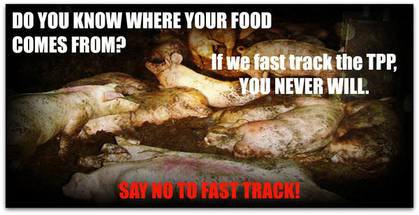 Food Laberling Food Laberling